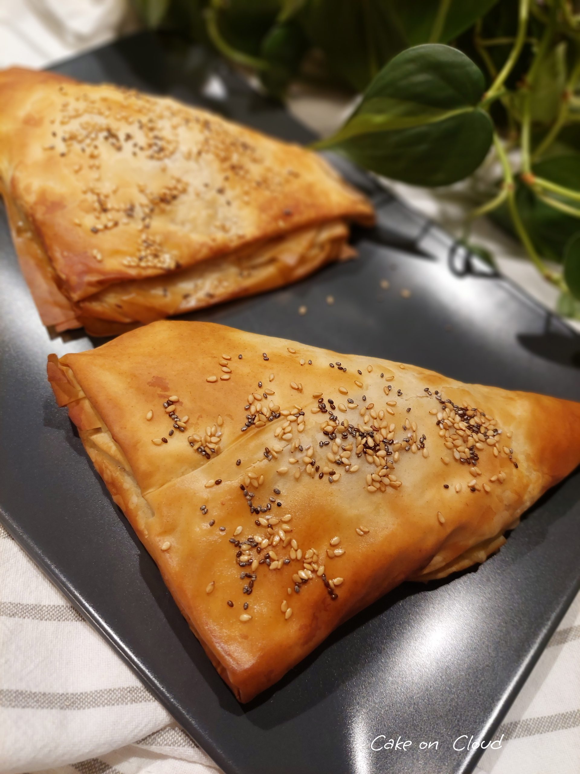 Triangoli pasta fillo alle verdure