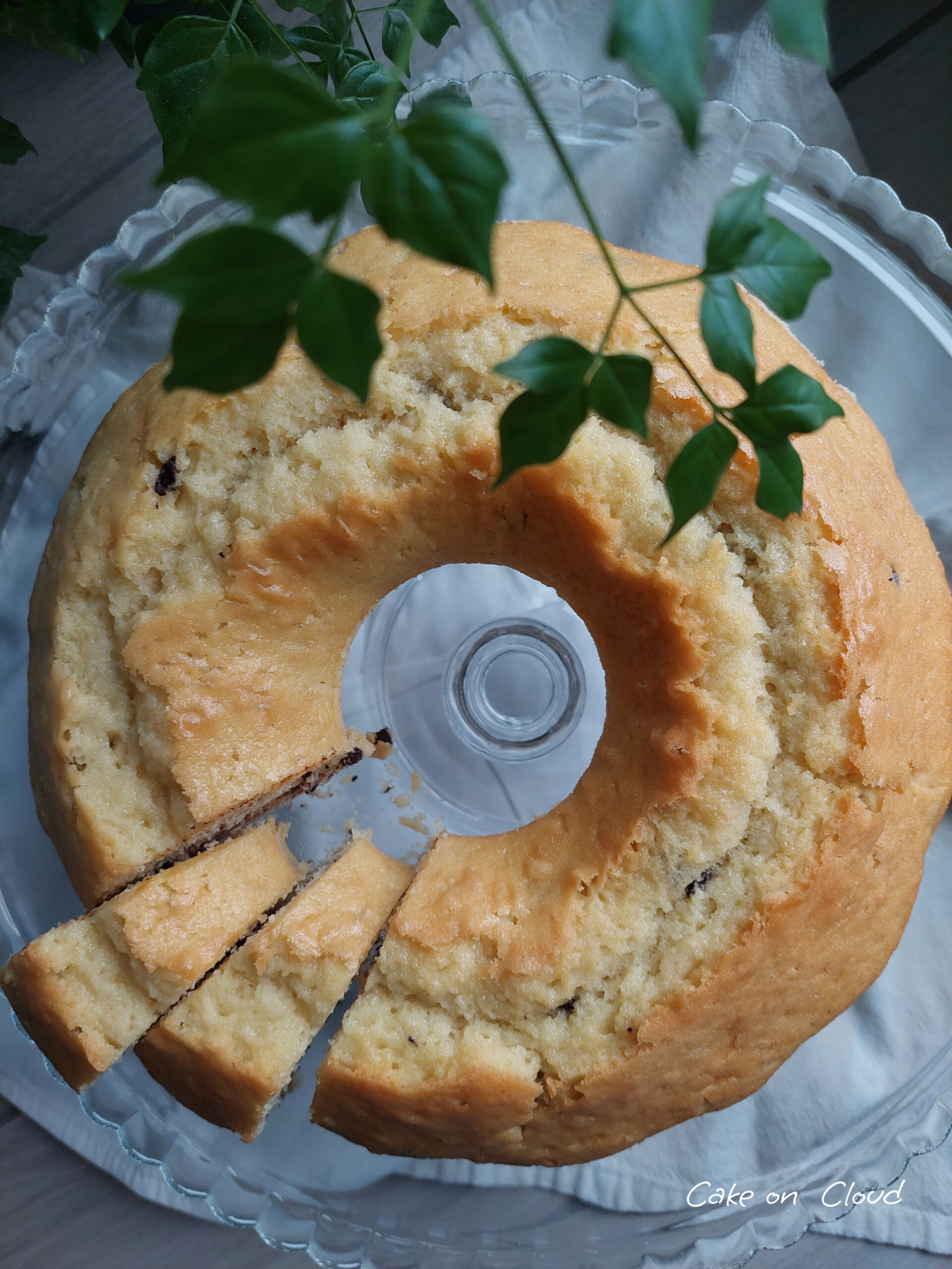 Ciambella al latte di cocco e gocce cioccolato