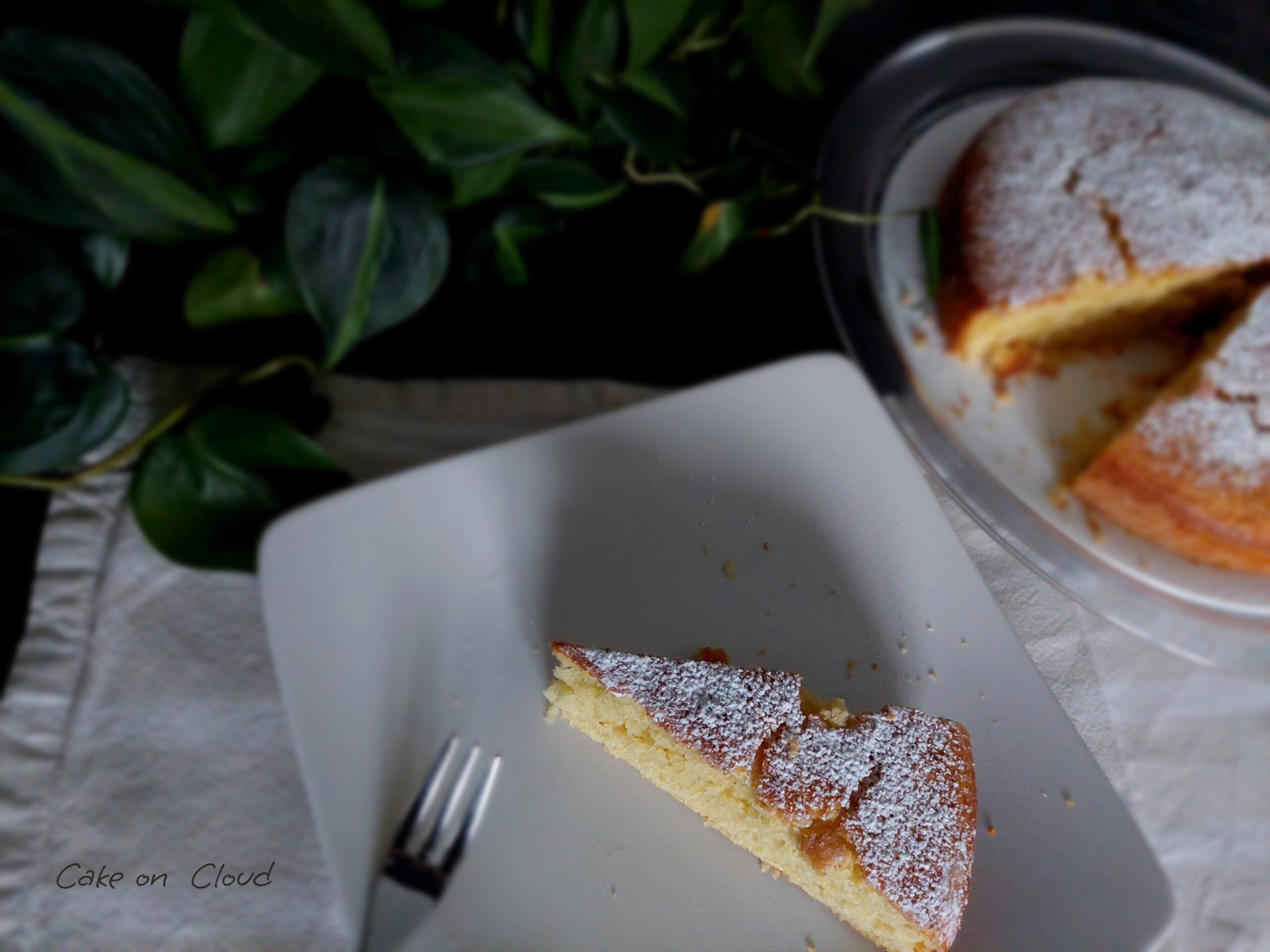 Torta soffice arancia e limone