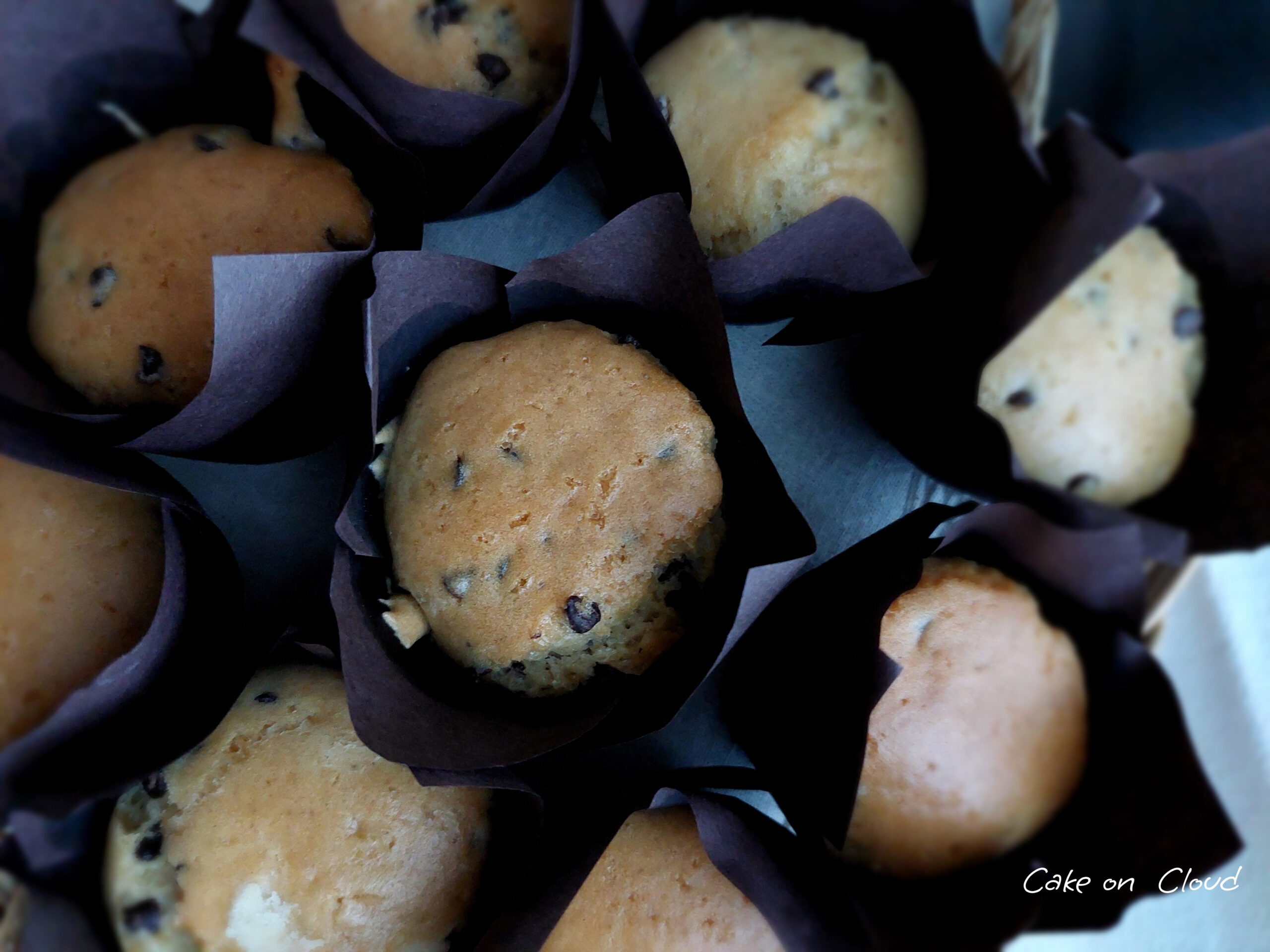 Muffin con gocce di cioccolato vegani