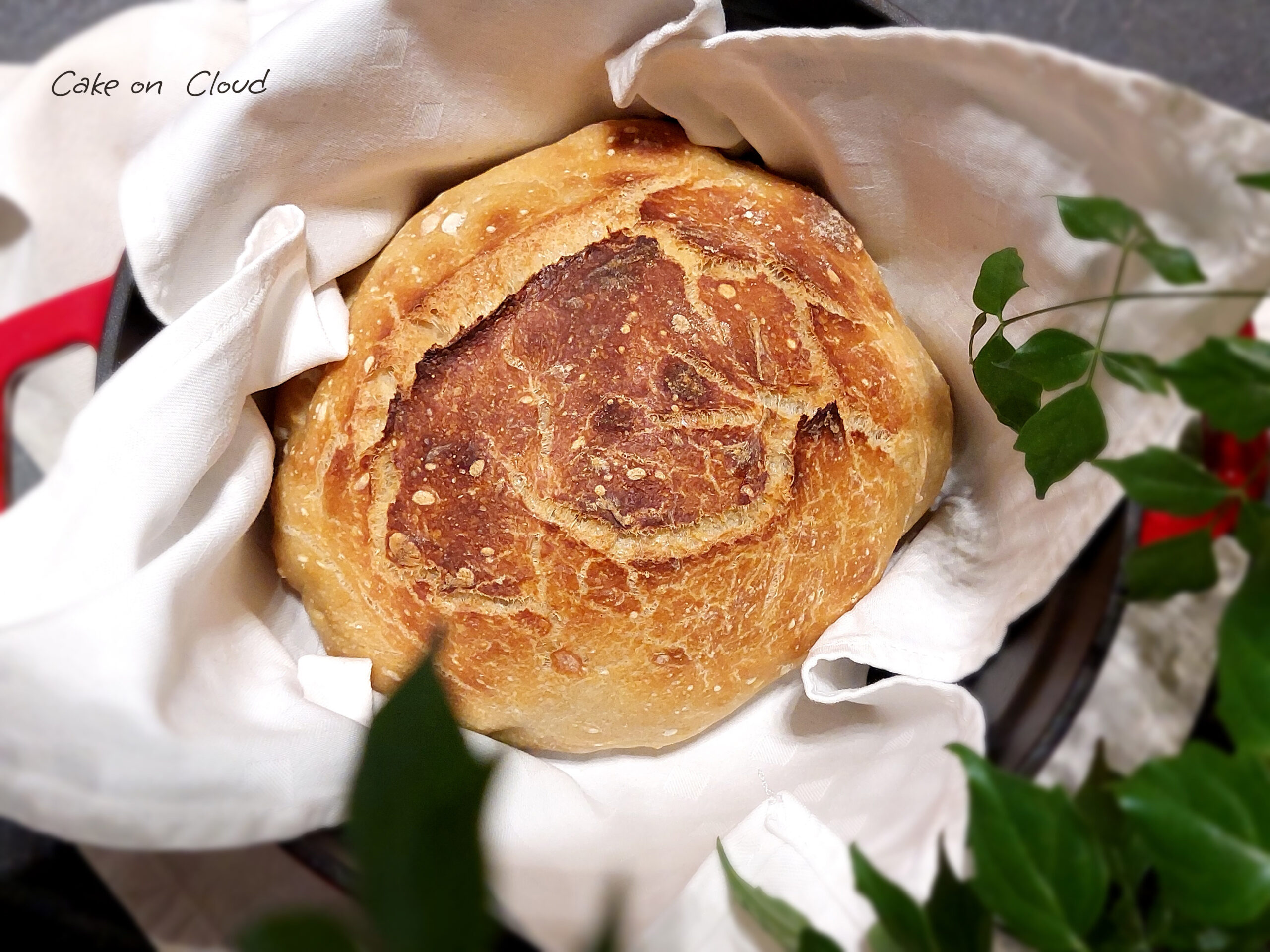 Pane con pasta madre