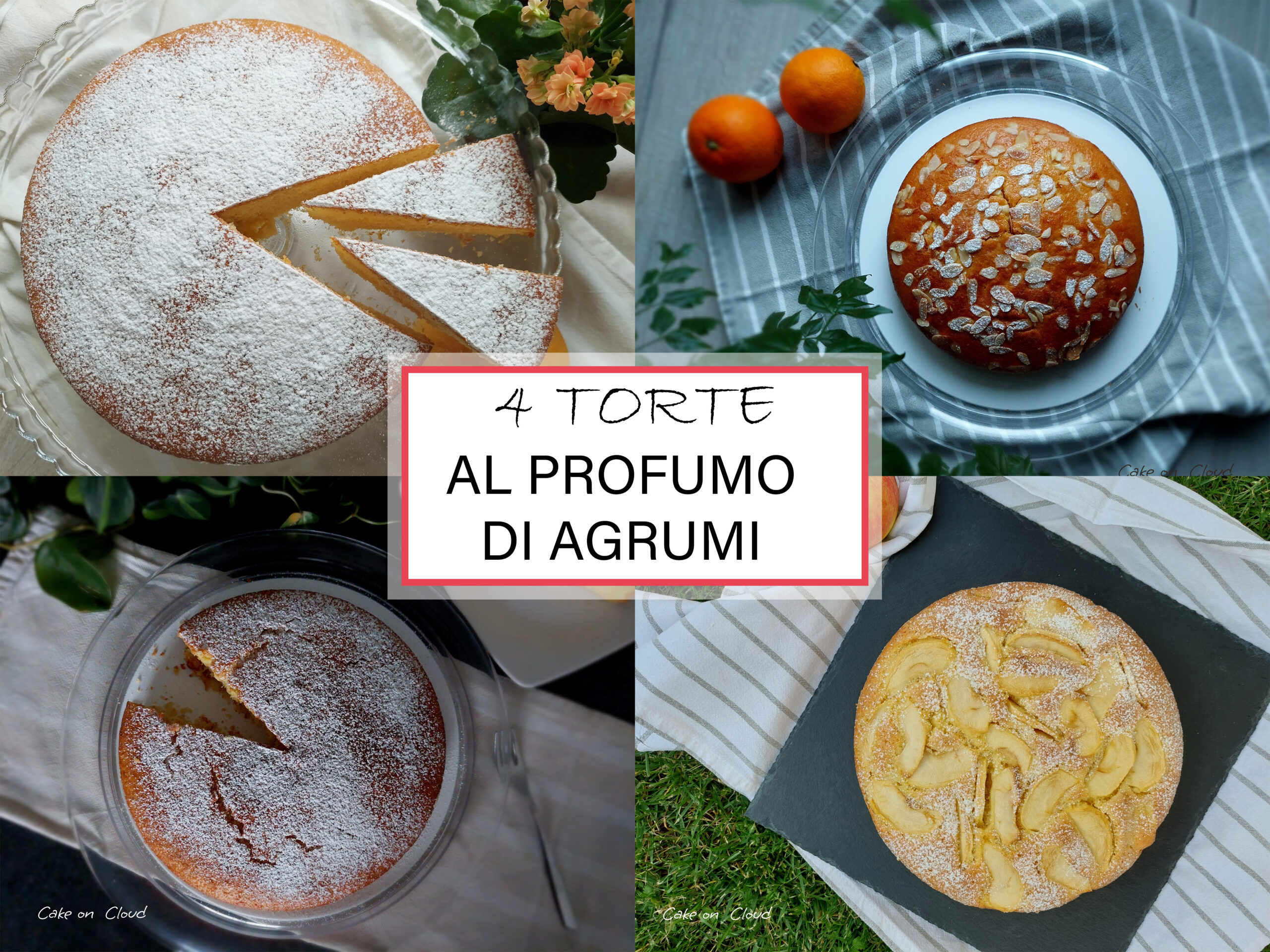 4 Torte al profumo di agrumi