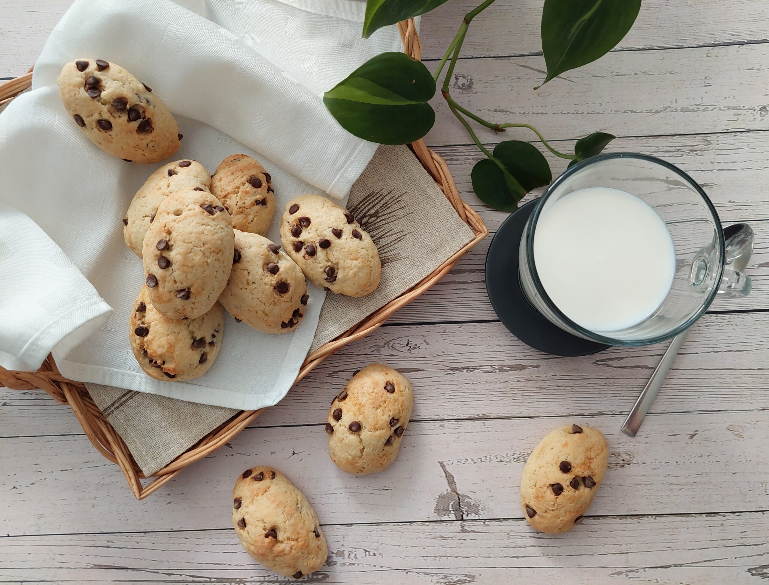 Biscotti da inzuppo con gocce di cioccolato